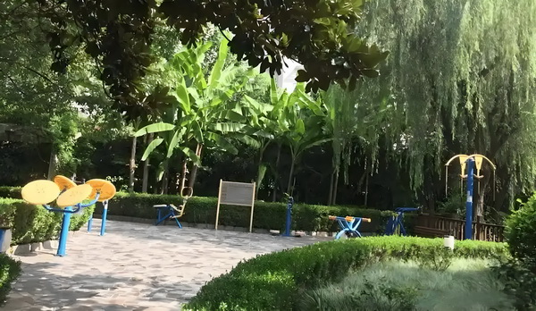 深圳常住户口有几人_董璇谈2任丈夫：从没想过会和高云翔离婚，张维伊敢娶我很勇敢 提出倡议带一“一中国路”